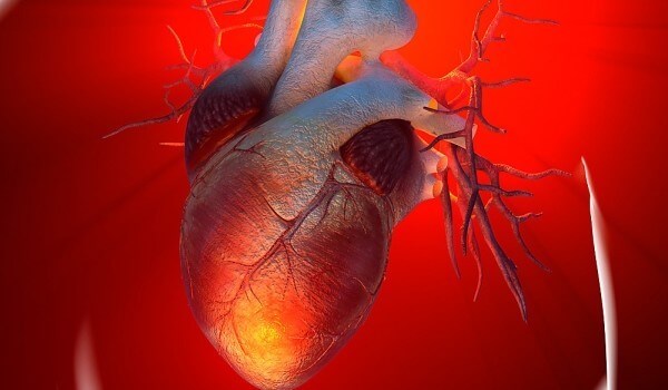 Российские ученые научились восстанавливать сердце после инфаркта