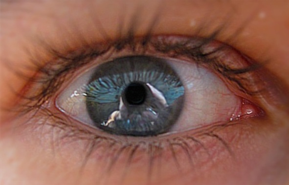 Ученые из России запатентовали новый способ лечения катаракты и глаукомы