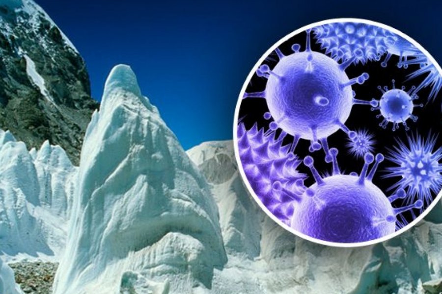 Российские ученые исследуют древние вирусы из вечной мерзлоты для создания антибиотиков