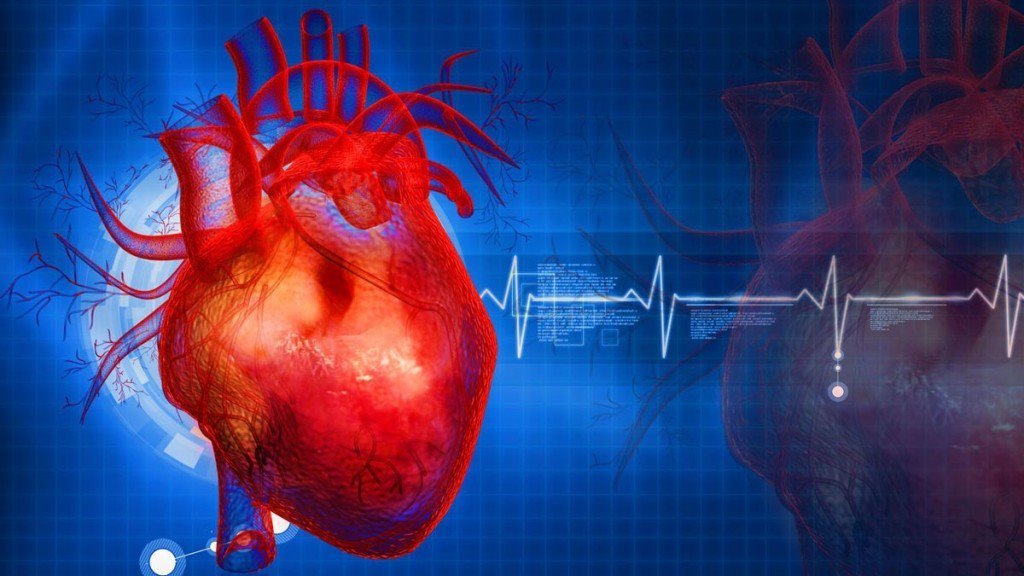 Российские ученые создали «кардиопластырь» для мониторинга работы сердца